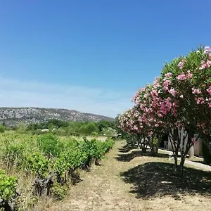 En Ardeche Du Sud Hébergement de vacances
